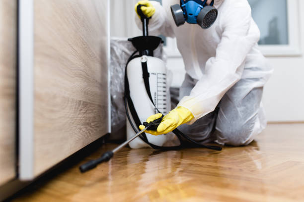 Best Best Pest Control Companies  in Oak Grove, AL