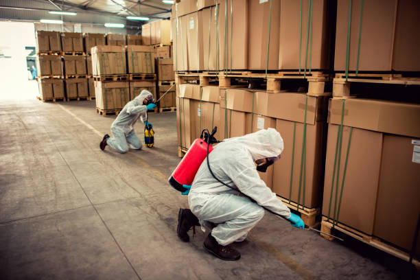 Wasp Removal Services in Oak Grove, AL