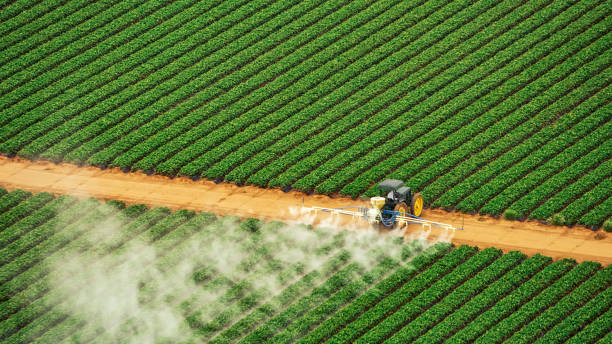 Professional Pest Control in Oak Grove, AL