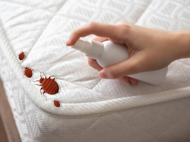Best Residential Pest Control  in Oak Grove, AL